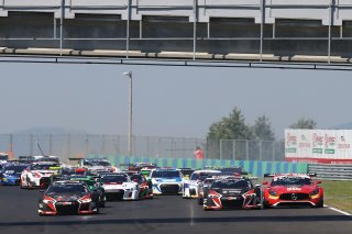 START OF THE MAIN RACE