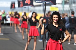 GRID GIRLS