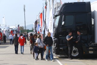FANS IN THE PADDOCK