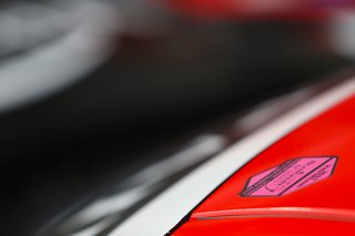 SCRUTINEERING STICKER
