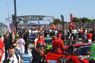 AMBIANCE STARTING GRID