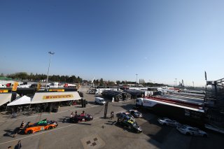 PADDOCK AMBIANCE
