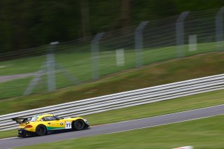 #77 BMW SPORTS TROPHY TEAM BRASIL (BRA) BMW Z4 GT3 ATILA ABREU (BRA) VALDENO BRITO (BRA)