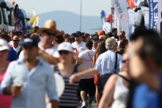 CROWD IN THE PADDOCK