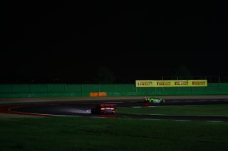 PADDOCK BY NIGHT