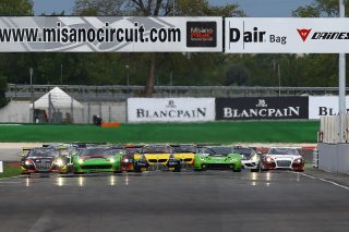 START OF THE MAIN RACE