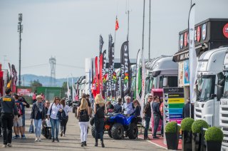AMBIANCE PADDOCK