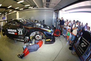 GRIDWALK AND PIT VISIT
