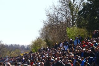 CROWD