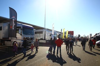 AMBIANCE PADDOCK