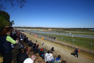CROWD