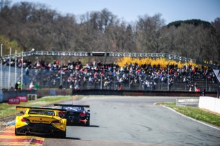 #77 BMW SPORTS TROPHY TEAM BRASIL (BRA) BMW Z4 GT3 MAXIME MARTIN (BEL) DIRK MULLER (DEU)