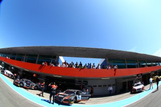 AMBIANCE PITLANE