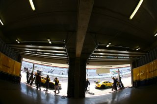 AMBIANCE PITS