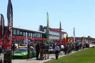 STARTING GRID