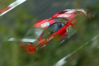 Cappelarri Gollin  Ferrari 550