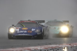 BERTOLINI PICCINI DE SIMONE PIER GUIDI Maserati MC12 team Scuderia Playteam Sarafree