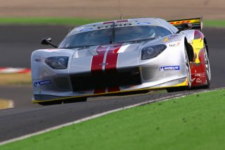 Marc VDS Racing Team Ford GT