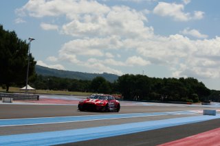 Free Practice
