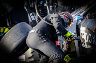 Race

