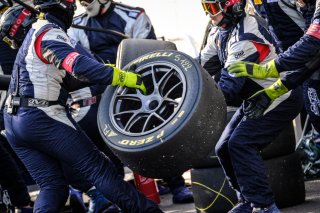 Race
