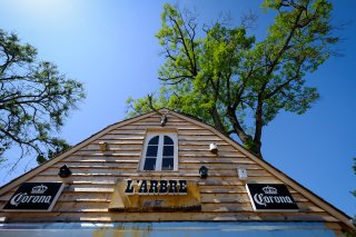 L'arbre qui tue, Press Conference
