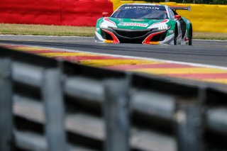 #30 Castrol Honda Racing ITA Honda NSX GT3 Pro-Am Cup, Track
