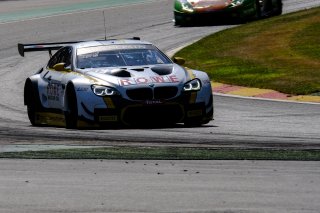 #99 ROWE Racing DEU BMW M6 GT3 -, Track

