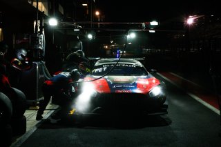 #35 SMP Racing by AKKA ASP  RUS Mercedes-AMG GT3 - - - Michael Meadows GBR Denis Bulatov RUS Vitaly Petrov RUS, Race
