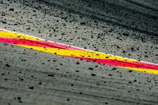 Race
