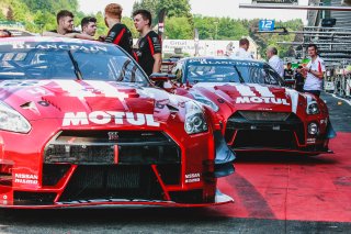 Scrutineering

