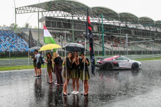 Gridwalk, Race 2
