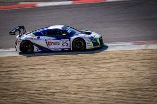 #25 Sainteloc Racing FRA Audi R8 LMS - Simon Gachet FRA Christopher Haase DEU, Free Practice 2
