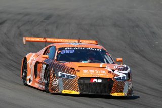 #888 Car Collection Motorsport DEU Audi R8 LMS Pro-Am Cup Mike Hansch DEU Antonio Forne Tomas ESP - -, Bronze Test
