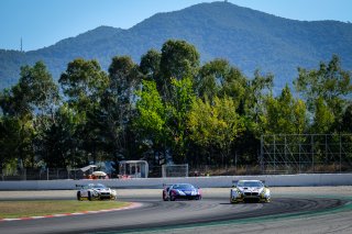 #98 ROWE Racing DEU BMW M6 GT3 - Nicky Catsburg NDL Jens Klingmann DEU Tom Blomqvist GBR, Race
