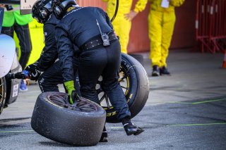 Race
