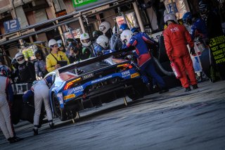 Race
