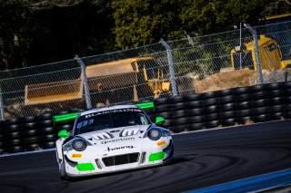 #991 Herberth Motorsport (DEU) Porsche 991 GT3 R Jürgen Häring DEU Edward Lewis Brauner DEU       Pro-Am Cup
