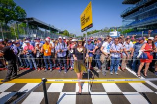 Race, Gridgirls