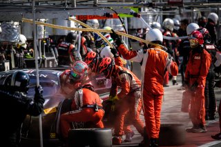 #53 AF Corse ITA Ferrari 488 GT3 Pro-Am Cup Niek Hommerson NDL Louis Machiels BEL Andrea Bertolini ITA, Race
