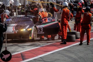 #53 AF Corse ITA Ferrari 488 GT3 Pro-Am Cup Niek Hommerson NDL Louis Machiels BEL Andrea Bertolini ITA, Race

