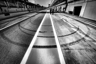 Monza Pitlane
