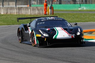 Monza Cars
