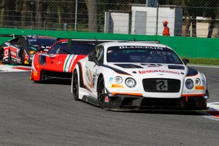 Monza Cars
