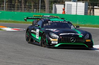 Monza Cars
