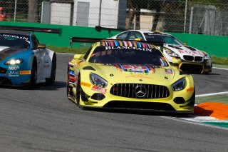 Monza Cars
