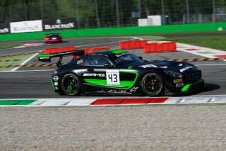 Monza Cars
