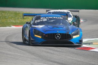 #4 Mercedes-AMG Team BLACK FALCON DEU Mercedes-AMG GT3 - Luca Stolz DEU Yelmer Buurman NDL Maro Engel DEU
