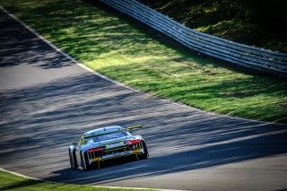 #25 Sainteloc Racing FRA Audi R8 LMS - Simon Gachet FRA Christopher Haase DEU, Qualifying
