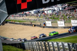 Race 2
